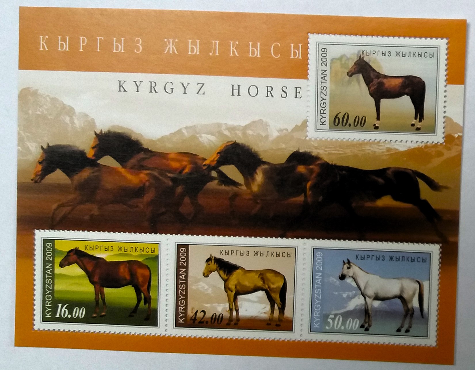 Aršík Kyrgyzstan - koně