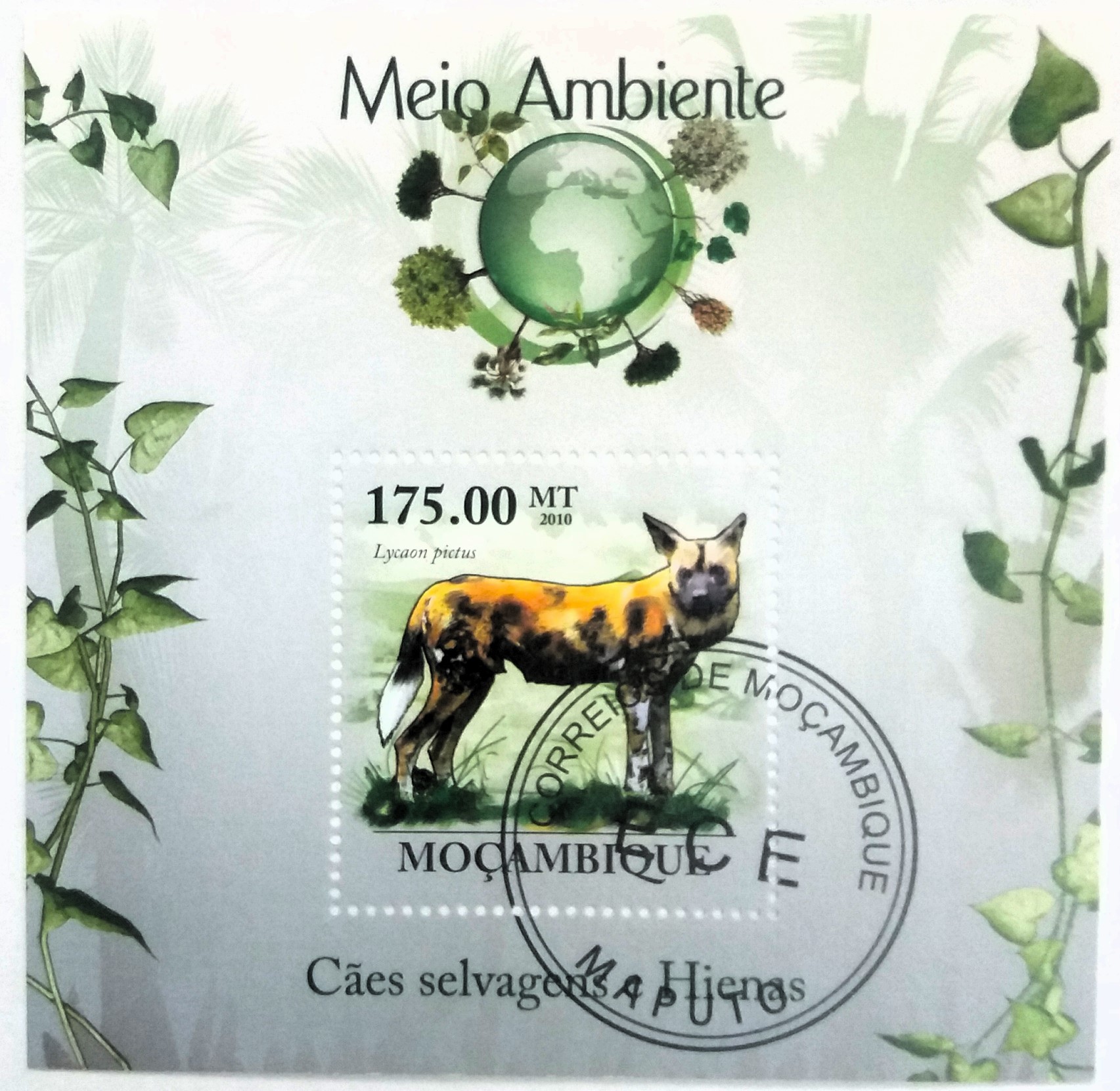 Aršík Mozambik - hyena