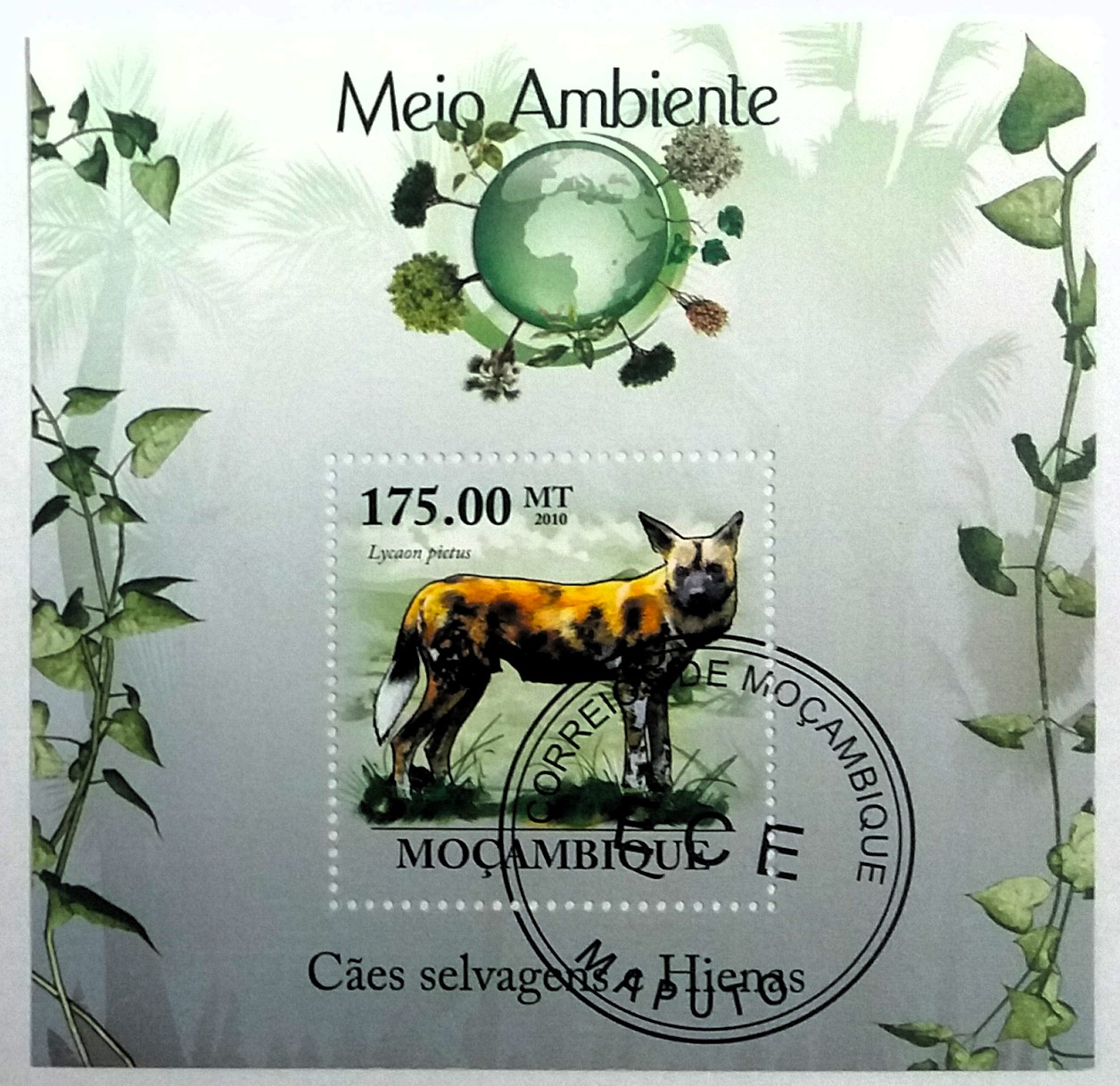 Aršík Mozambique - hyena