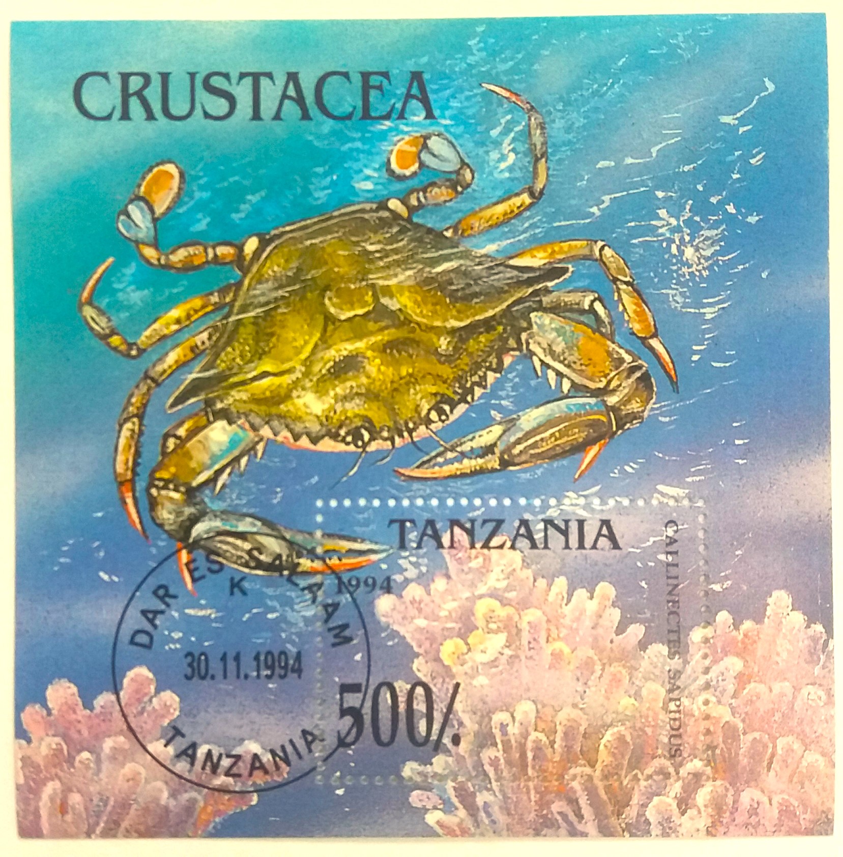 Aršík Tanzania - krab