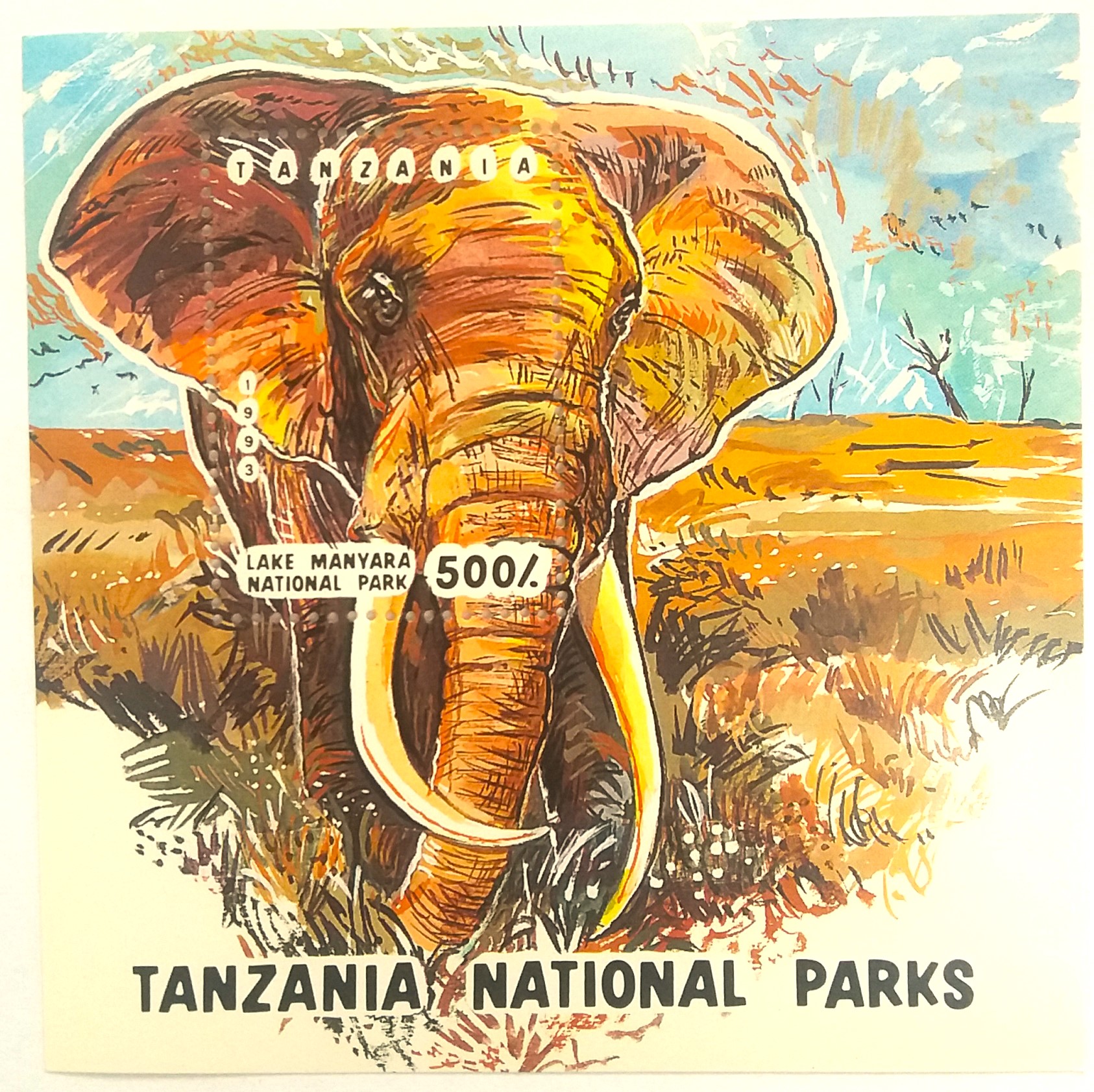 Aršík Tanzania - slon