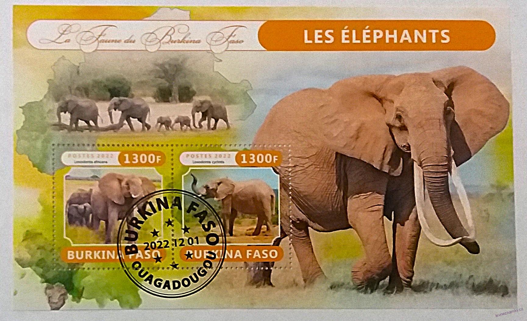 Aršík Burkina Faso - sloni