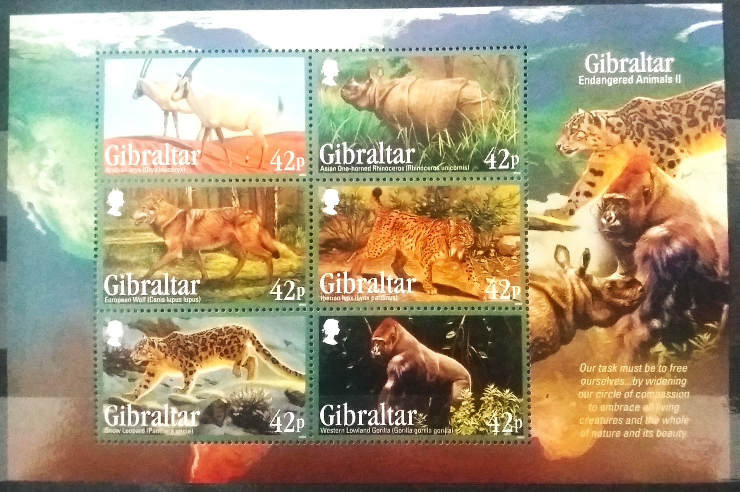 Aršík Gibraltar