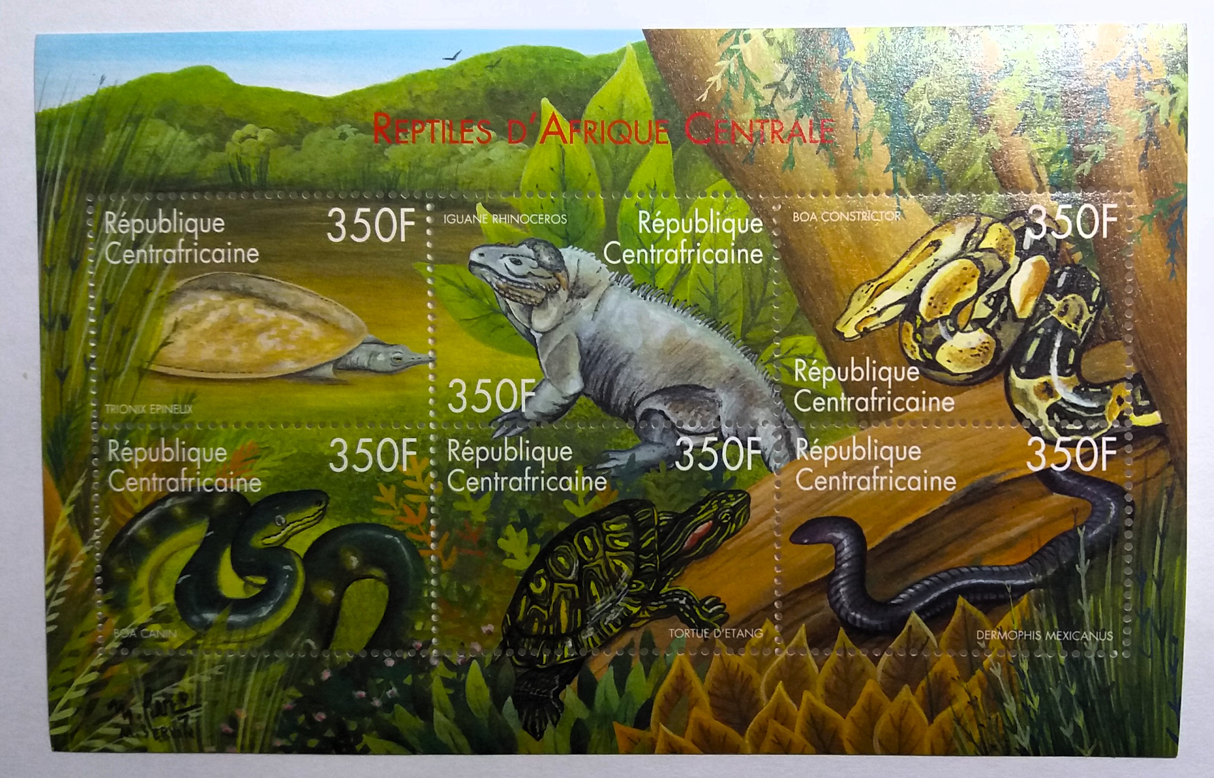 Aršík Central Africa - fauna