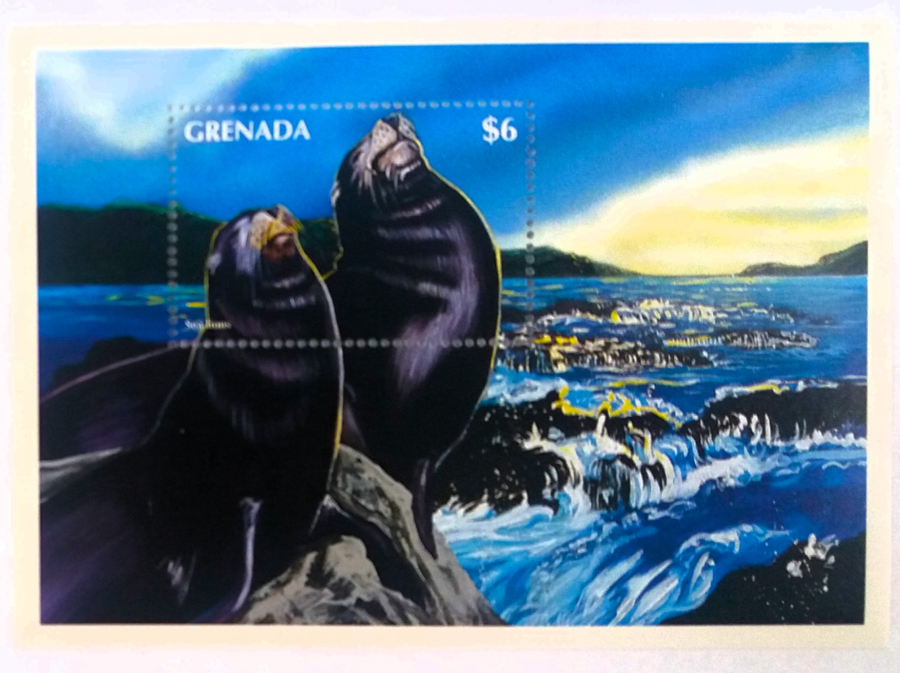 Aršík Grenada - tuleň