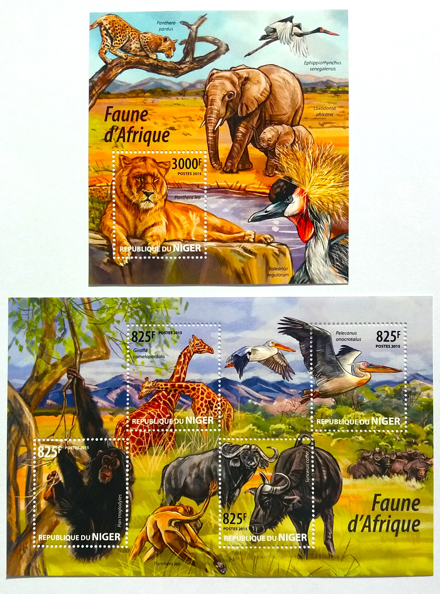 Sada aršíků Niger - fauna Afriky