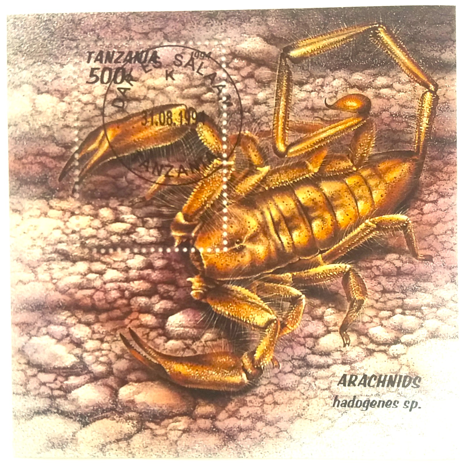 Aršík Tanzania - škorpion
