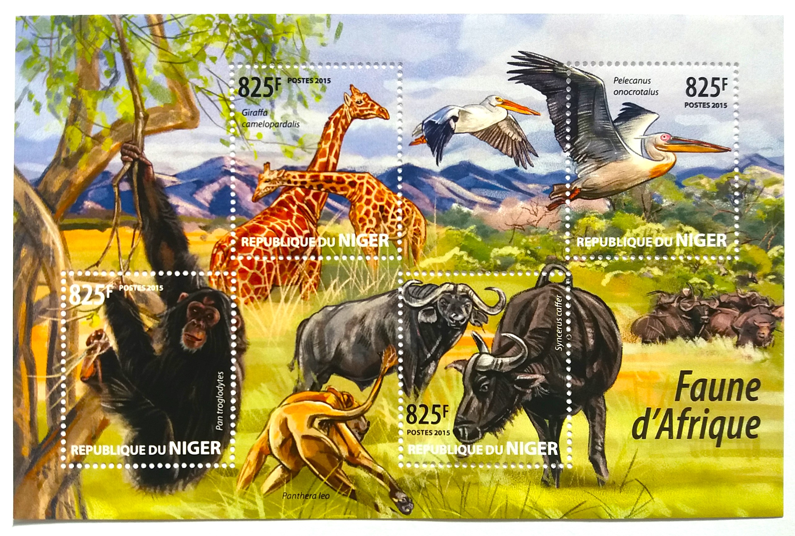 Sada aršíků Niger - fauna Afriky