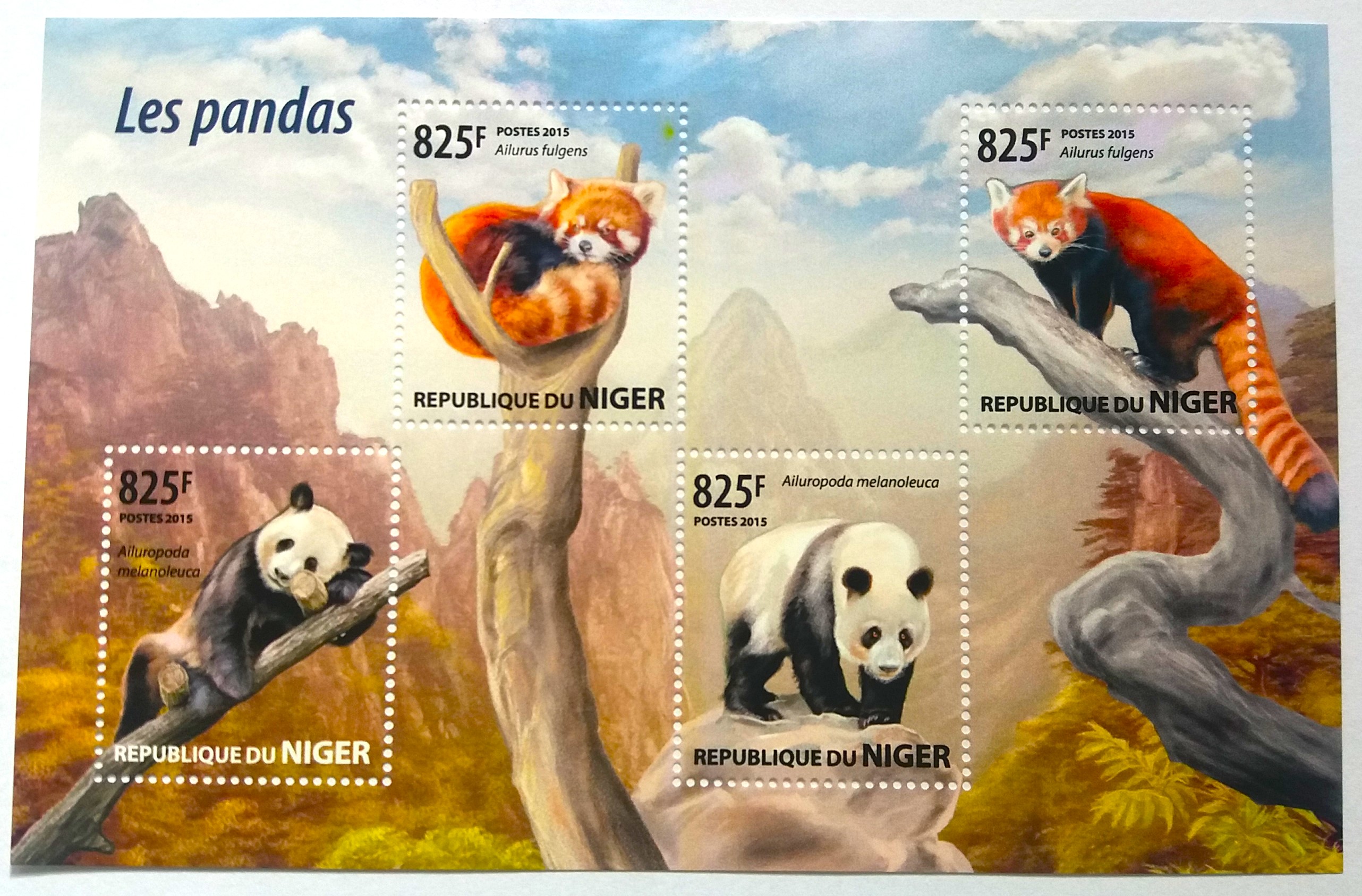 Sada aršíků Niger - pandy