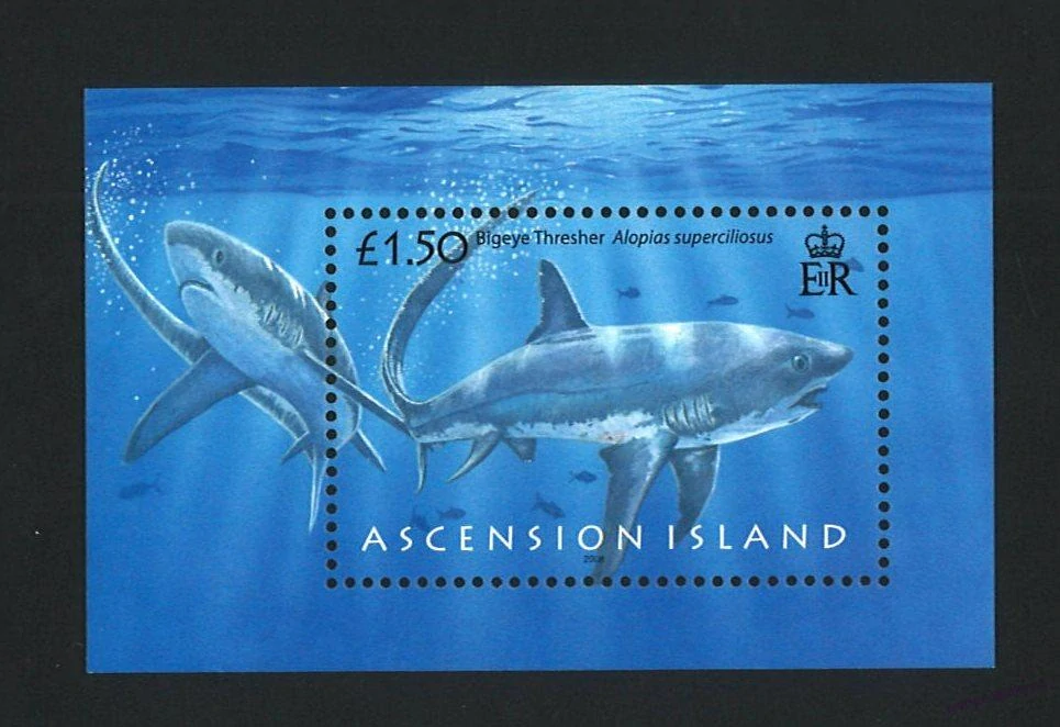 Aršíky známek - Ascension 1980 - 2012 - 20 ks - čisté