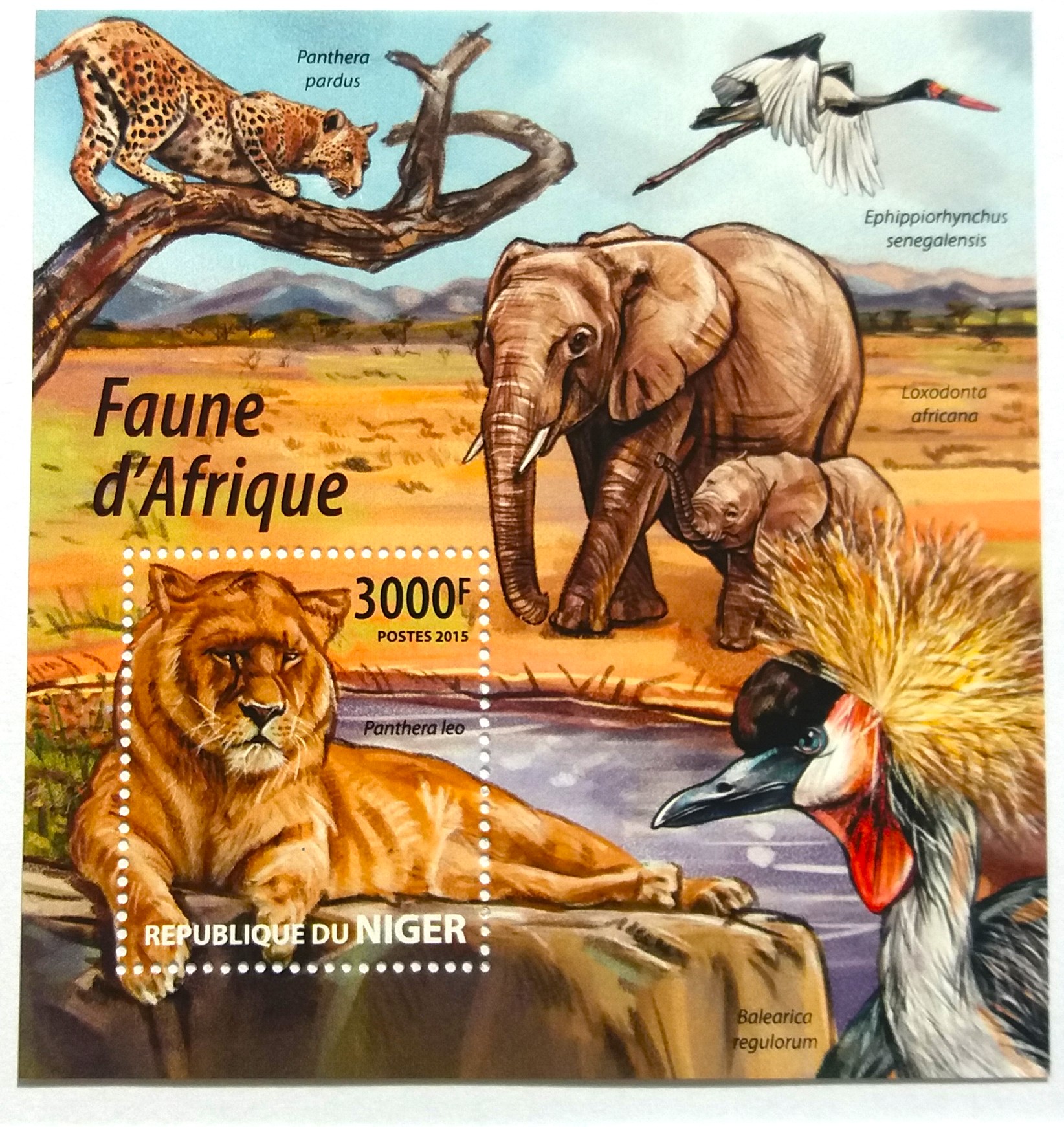 Sada aršíků Niger - fauna Afriky