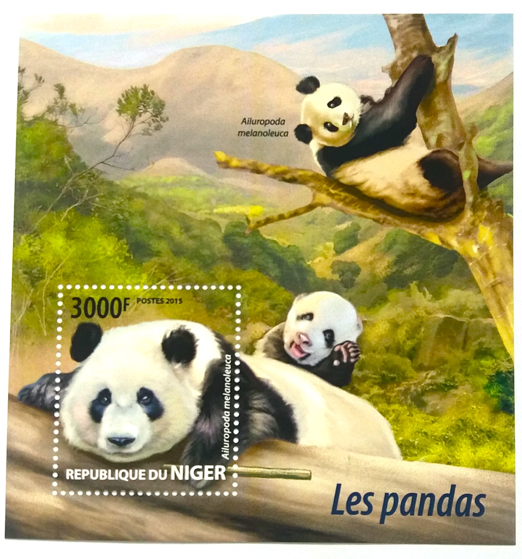 Sada aršíků Niger - pandy