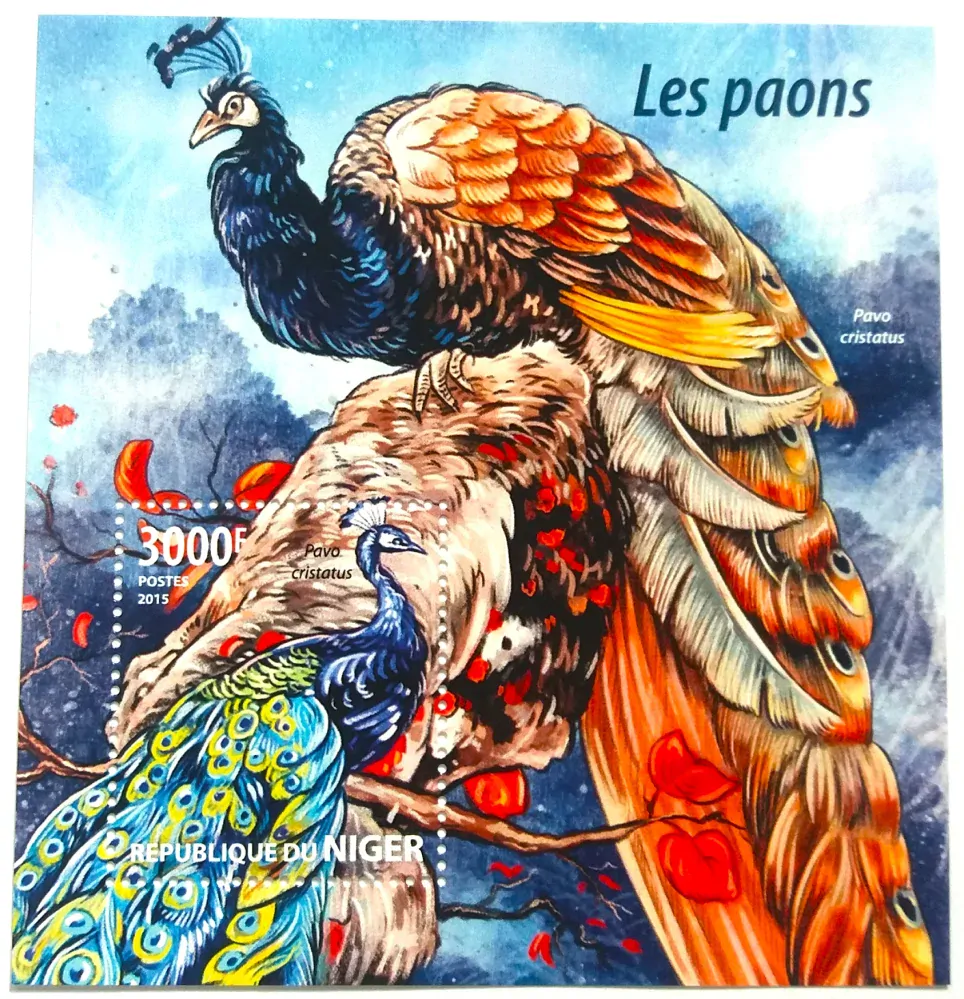 Sada aršíků Niger - pávi