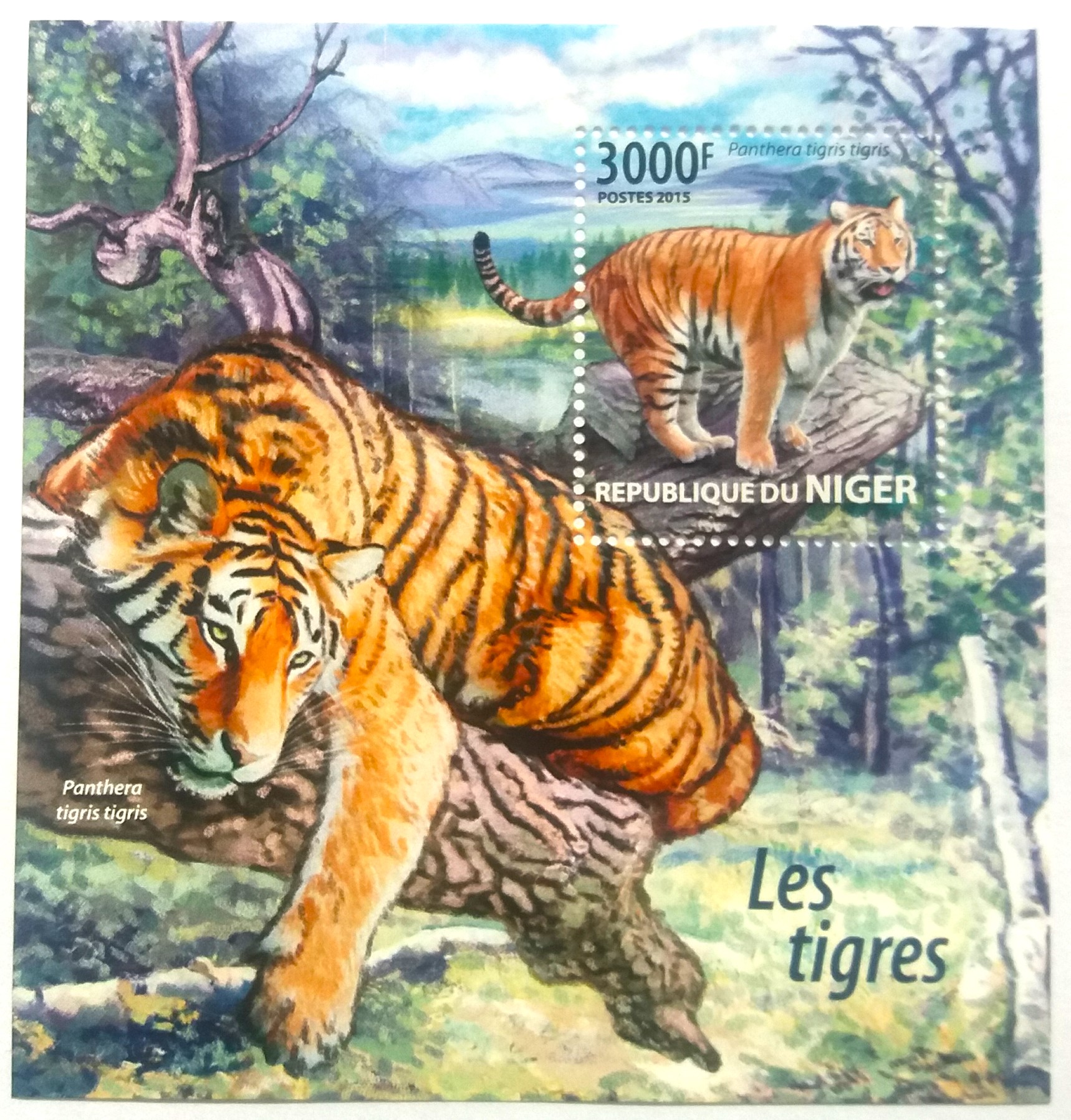 Sada aršíků Niger - tygři