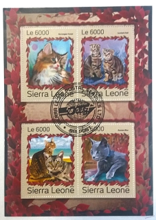 Aršík Sierra Leone - kočky