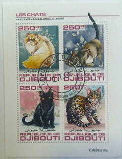 Aršík Djibouti - kočky