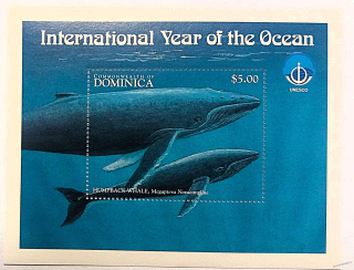 Aršík Dominica - ryby