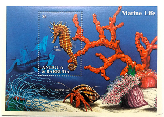 Aršík Antiqua a Barbuda - ryby
