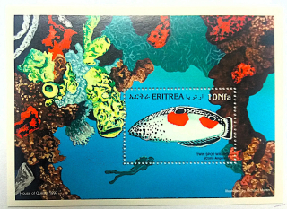 Aršík Eritrea - ryby