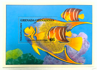 Aršík Grenada Grenadines - ryby
