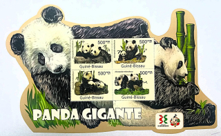 Aršík Guiné - Bissau - pandy