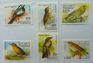 Sestava známek - Saharaui - ptáci - čisté