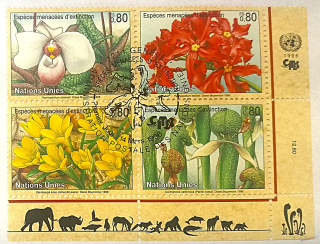 Čtyřblok známek - Nations Unies - flóra