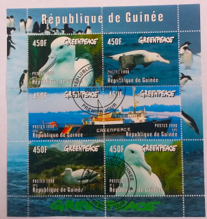 Aršík - Guineé Greenpeace - ptáci
