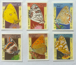 Sestava známek - Somali - motýli - čisté