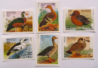 Sestava známek - Somali - kachny - čisté