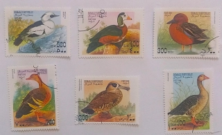 Sestava známek - Somali - kachny