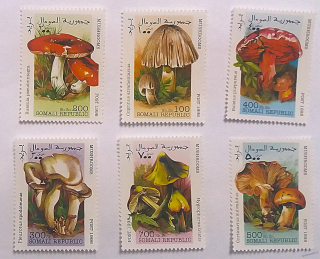 Sestava známek - Somali - houby - čisté