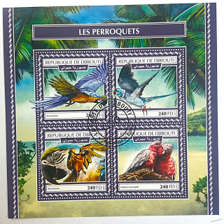 Aršík Djibouti - papoušci