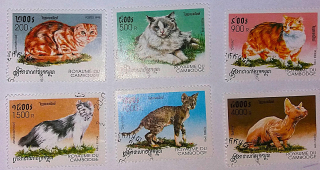 Sestava známek - Cambodge - kočky