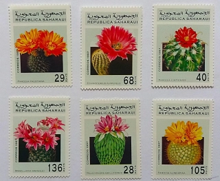 Sestava známek - Saharaui - kaktusy - čisté