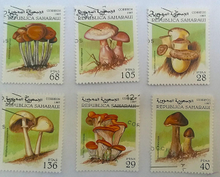 Sestava známek - Saharaui - houby 