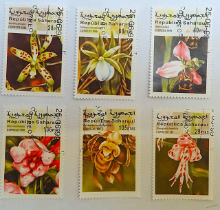 Sestava známek - Saharaui - flóra