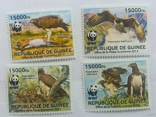 Sestava známek - Guinee - dravci WWF - čisté