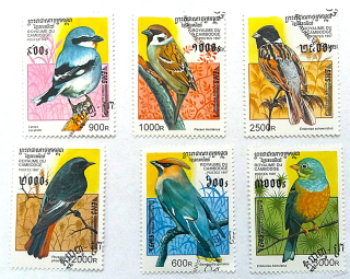 Sestava známek - Cambodge - ptáci