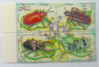 Sestava známek - Somalia - brouci - čisté