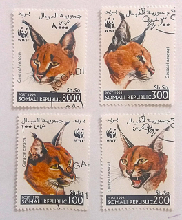 Sestava známek - Somali - divoké kočky
