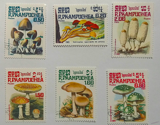 Sestava - R.P.Kampuchea - houby