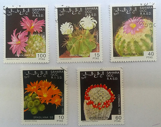 Sestava známek - Sahara - kaktusy