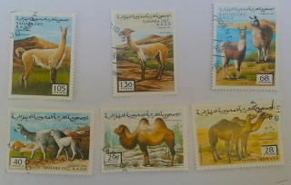 Sestava známek - Sahara - velbloudi