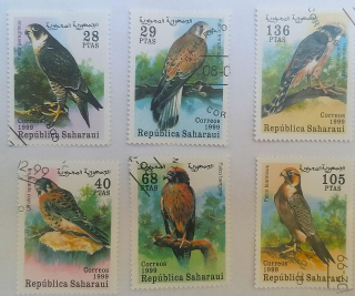 Sestava známek - Sahara - dravci 