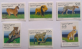 Sestava známek - Sahara - divoké kočky - čisté