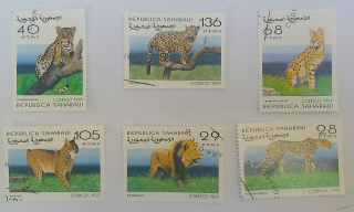 Sestava známek - Sahara - divoké kočky 