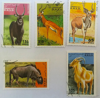 Sestava známek - Sahara - divoká fauna 