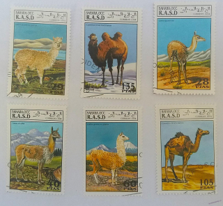 Sestava známek - Sahara - velbloudi 