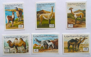 Sestava známek - Sahara - velbloudi - čisté